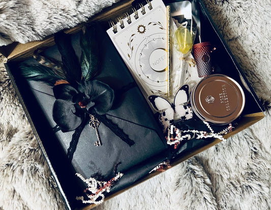 Blind Date with a Book, Curated Gift Box, Mystery Book, Book Lover Gift, Bookworm Gift, Book Box