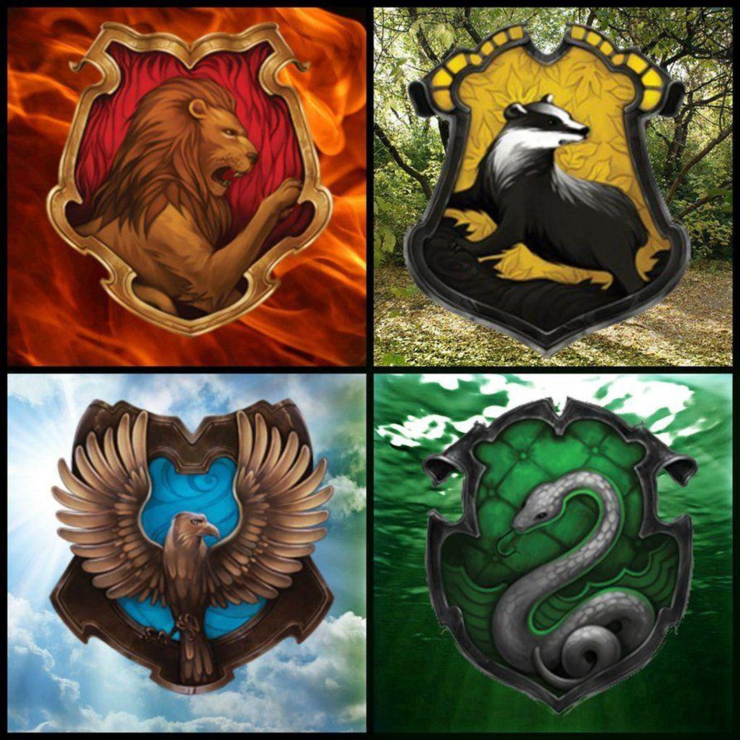 Blind date with a Book (Harry Potter Hogwarts Edition, Pick your house)