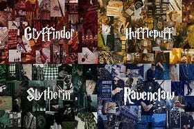 Blind date with a Book (Harry Potter Hogwarts Edition, Pick your house)