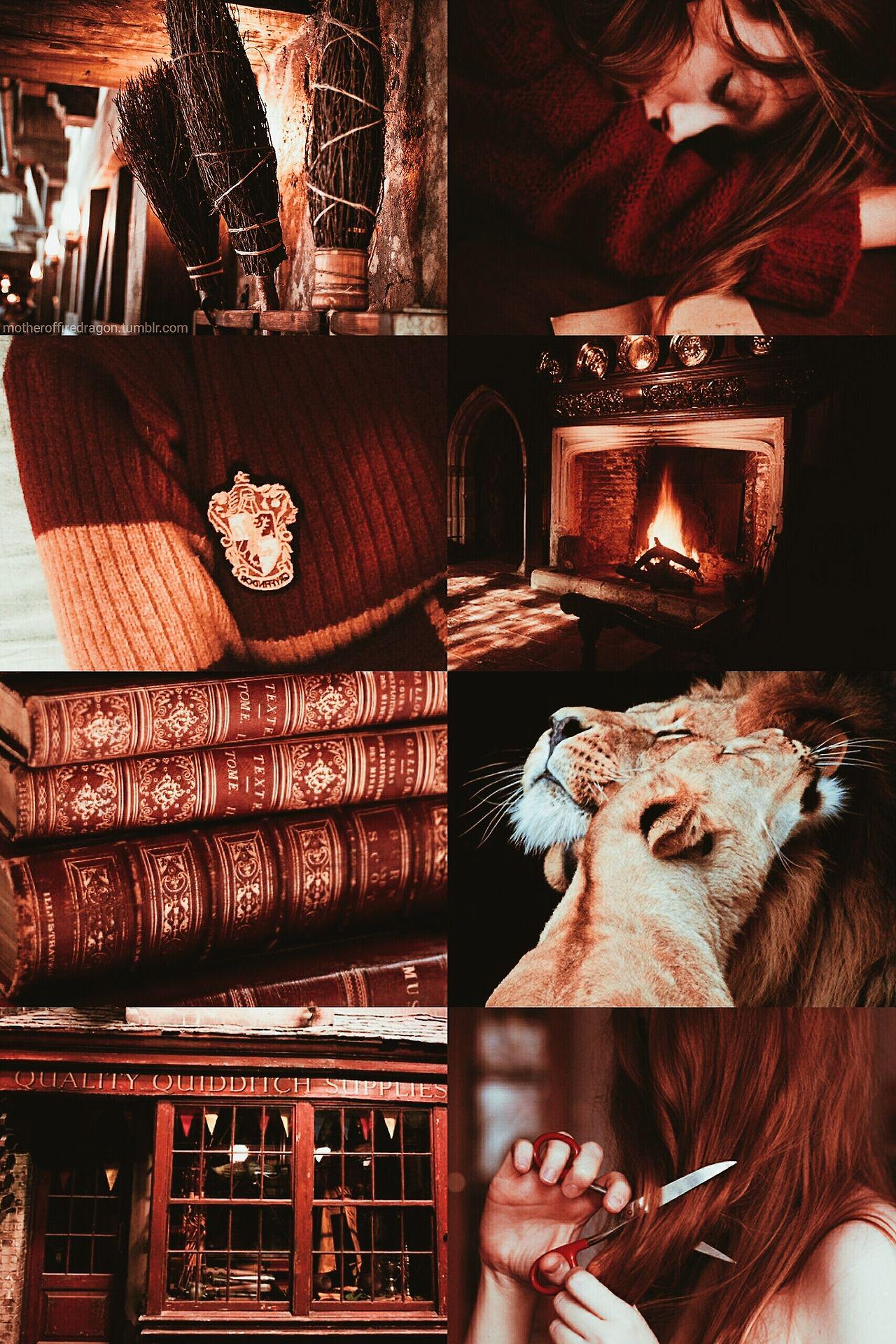 Blind date with a Book (Harry Potter Hogwarts Edition, Pick your house)
